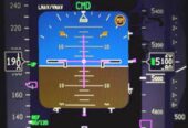 Electronic Flight Instrument System (EFIS) Display (7003110-901)
