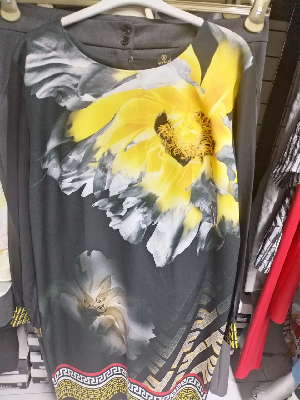 Printed Sheer Sleeve Dress